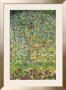 Apple Tree by Gustav Klimt Limited Edition Pricing Art Print