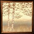 Birch Silhouette I by James Wiens Limited Edition Print