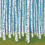 Birch Grove by Lisa Congdon Limited Edition Pricing Art Print