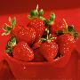 Strawberries by Alena Hrbkova Limited Edition Print