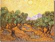 Olive Trees, C.1889 by Vincent Van Gogh Limited Edition Print