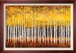 Golden Aspens by Robert Holman Limited Edition Pricing Art Print