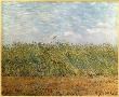 Wheat Field With A Lark by Vincent Van Gogh Limited Edition Print
