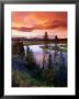 Yellowstone River Meandering Through Hayden Valley At Sunset, Yellowstone National Park, Usa by John Elk Iii Limited Edition Print