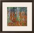 Buchenwald (Beech Trees), 1903 by Gustav Klimt Limited Edition Pricing Art Print