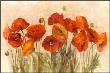 Vibrant Poppies by Carol Rowan Limited Edition Pricing Art Print