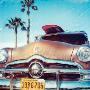 California Dreamin' by Rene Griffith Limited Edition Pricing Art Print