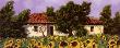 Tuscan Summer I by Guido Borelli Limited Edition Print