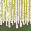 Birch Forest by Lisa Congdon Limited Edition Print