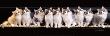 Klassical Kittens by Keith Kimberlin Limited Edition Print
