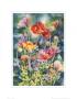 Perfect Poppy Ii by Sally Bly Limited Edition Pricing Art Print