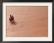 A Woman And Two Children Walk On A Newly Constructed Road In Sonapur by Anupam Nath Limited Edition Print