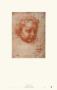 Head Of A Child by Andrea Del Sarto Limited Edition Pricing Art Print