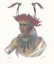 An Otto Half Chief by Charles Bird King Limited Edition Pricing Art Print