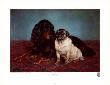 Gordon Setter And A Pug by Otto Bache Limited Edition Print