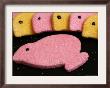 Food Marshmallow Animals, Concord, New Hampshire by Larry Crowe Limited Edition Pricing Art Print