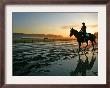 An Unidentified Horse And Rider On The Track At Belmont Park In Elmont, New York, June 9, 2006 by Ed Betz Limited Edition Print