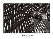 Asleep On Coney Island by Ferdinando Scianna Limited Edition Pricing Art Print