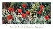 Fourth Studio Garden Poppies by Douglas Atwill Limited Edition Pricing Art Print
