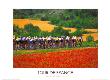 Tour De France, 1996 by Graham Watson Limited Edition Pricing Art Print