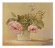 Spring Roses by Heinz Scholnhammer Limited Edition Print