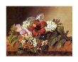 Hibiscus, Mallows, Tibouchina And Jasmine by Johan Laurentz Jensen Limited Edition Print