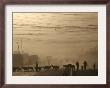 Afghan Herders Lead Their Livestodk Across A Road In Kabul, Afghanistan, Monday, Oct 9, 2006 by Rodrigo Abd Limited Edition Print