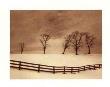 Snowscape With Fence by Sarah Wagner-Raines Limited Edition Pricing Art Print