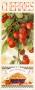 Cherries by Vicki Howard Limited Edition Pricing Art Print