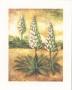 Lupine by Tina Chaden Limited Edition Print