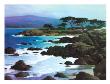 Coastline At Pacific Grove by Brian Blood Limited Edition Print