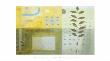 Crosswater Bay Leaves by Fiona Millais Limited Edition Pricing Art Print
