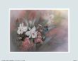 White Orchids by T. C. Chiu Limited Edition Pricing Art Print