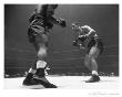 Lifeâ® - Marciano Vs. Simmons, 1951 by Eliot Elisofon Limited Edition Print