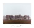 Vallee De La Somme, France by Alan Klug Limited Edition Print