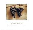 Grapes by Joseph Decker Limited Edition Print