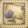 Paris Hydrangea by Kimberly Poloson Limited Edition Print