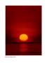 Sunset Over Lake Michigan by Frank Cezus Limited Edition Pricing Art Print