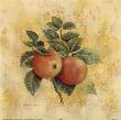 Apples by Richard Henson Limited Edition Print