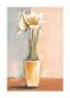 White Amaryllis by Vitor Vivaldi Limited Edition Print