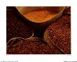 Beans, Zanzibar by Rolf Verres Limited Edition Pricing Art Print