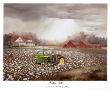 Cotton Field by Judy Richardson Limited Edition Pricing Art Print