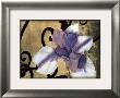 Iris And Scrolls Ii by Jennifer Goldberger Limited Edition Print