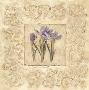 Iris Scroll by Charlene Winter Olson Limited Edition Print