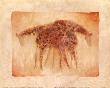 Giraffe Impression I by Patrick Lowry Limited Edition Print