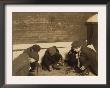 Playing Craps In The Jail Alley, Albany, New York, C.1910 by Lewis Wickes Hine Limited Edition Print