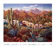 More Snowbirds In Cactusland by Stephen Morath Limited Edition Print