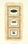 Elongated Wine Labels Ii by Deborah Bookman Limited Edition Print