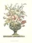 Flowers In An Urn Ii by Giovanni Battista Piranesi Limited Edition Pricing Art Print