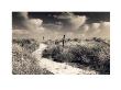 Winding Path, West Wittering by Lesley Aggar Limited Edition Pricing Art Print